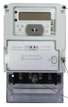 Счётчик КАСКАД-1-МТ исполнение W3