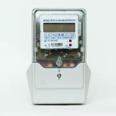 Счётчик КАСКАД-1-МТ исполнение W1